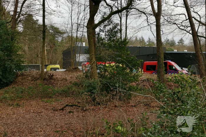Boom op persoon gevallen in bosgebied