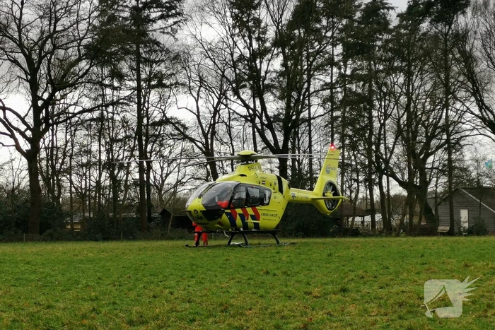 Boom op persoon gevallen in bosgebied