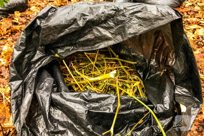 Dumping afval aangetroffen