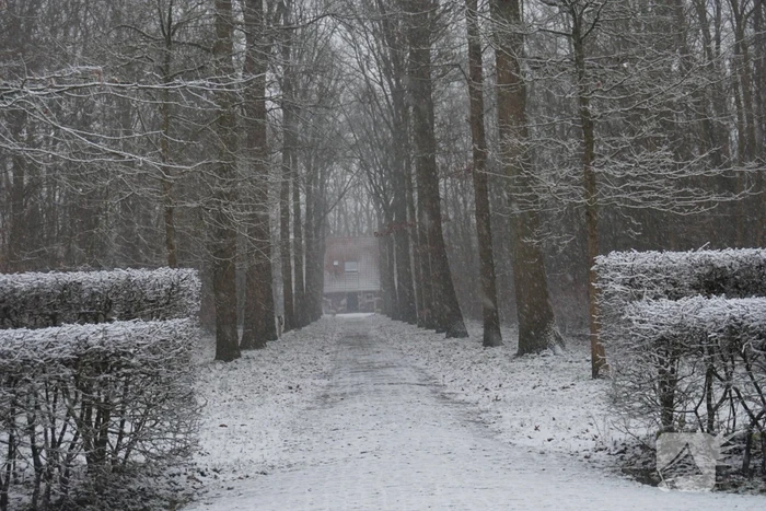 Eerste sneeuwvlokken in provincie Zeeland