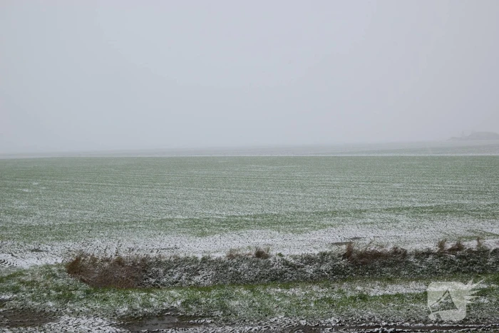 Eerste sneeuwvlokken in provincie Zeeland