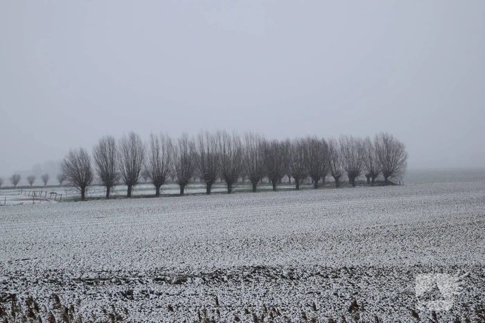 Eerste sneeuwvlokken in provincie Zeeland