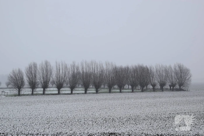 Eerste sneeuwvlokken in provincie Zeeland