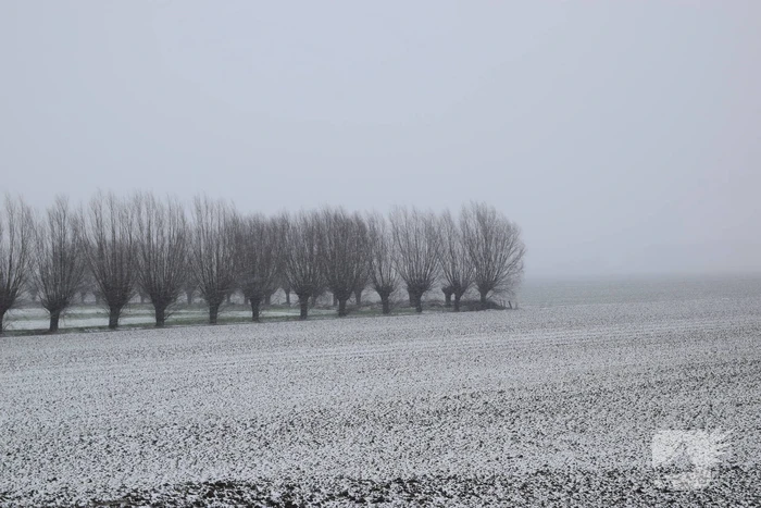 Eerste sneeuwvlokken in provincie Zeeland