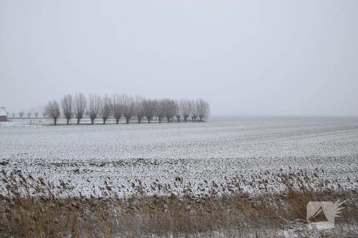 Eerste sneeuwvlokken in provincie Zeeland