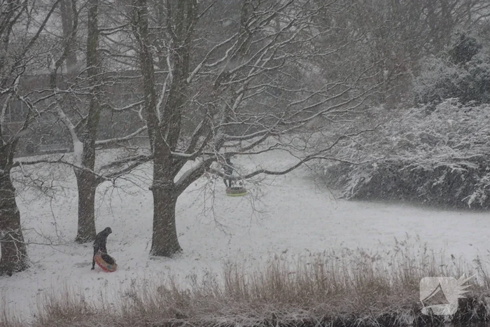 Eerste sneeuwvlokken in provincie Zeeland