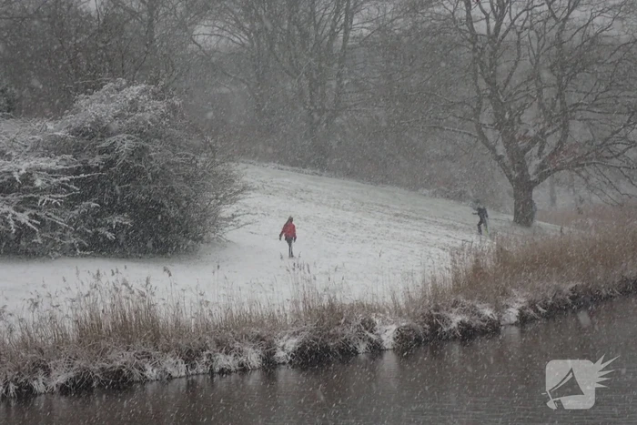 Eerste sneeuwvlokken in provincie Zeeland