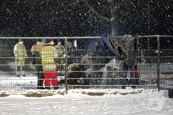 Brandweer helpt paard omhoog