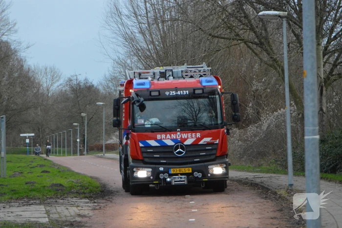 Riet in brand