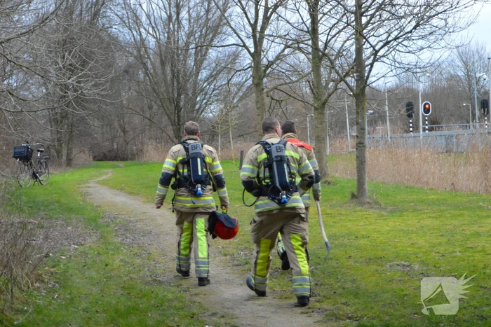 Riet in brand