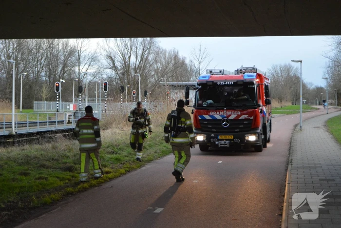 Riet in brand