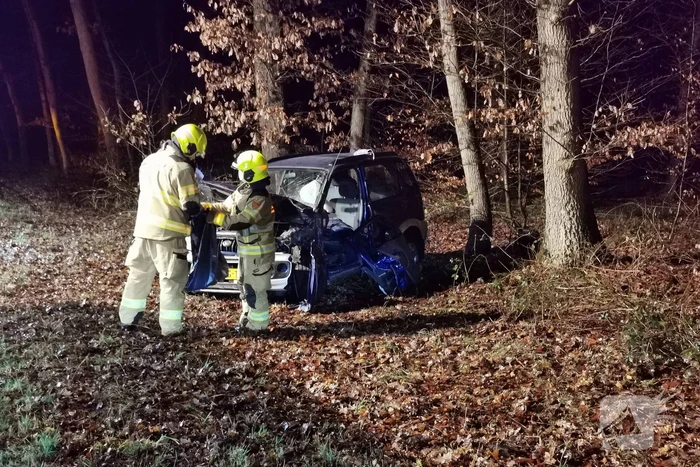 Auto tegen boom geëindigd