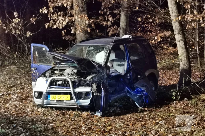 Auto tegen boom geëindigd