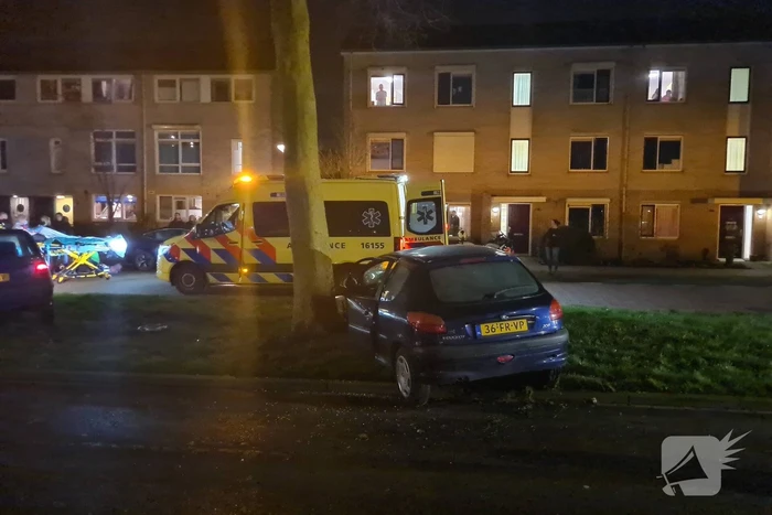 Automobilist knalt met voertuig op boom