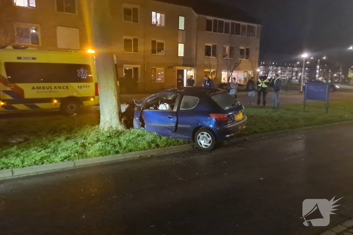 Automobilist knalt met voertuig op boom