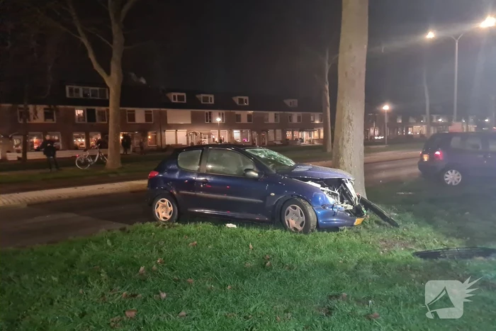 Automobilist knalt met voertuig op boom