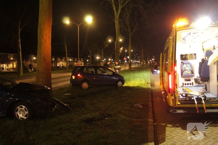 Automobilist knalt met voertuig op boom