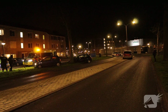 Automobilist knalt met voertuig op boom