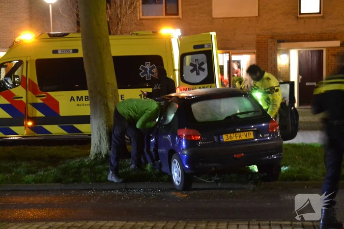 Automobilist knalt met voertuig op boom