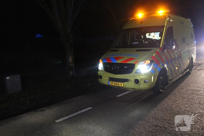 Dronken automobilist rijdt tegen boom
