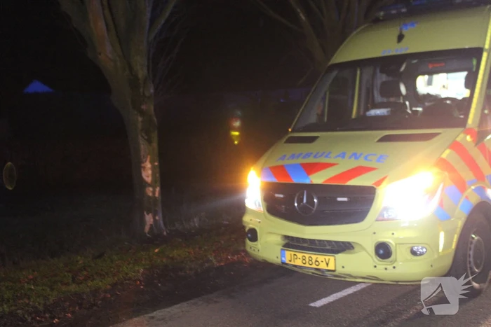 Dronken automobilist rijdt tegen boom