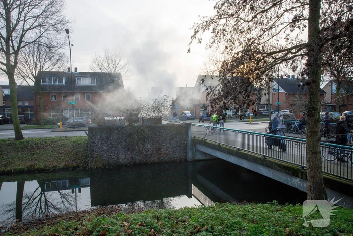 Papiercontainer in brand gestoken