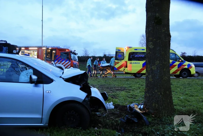 Personenauto raakt van weg en knalt tegen boom