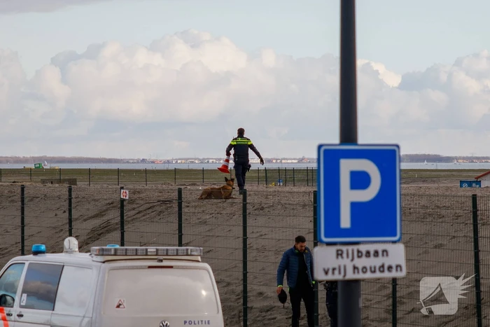 Persoon ernstig gewond bij schietpartij