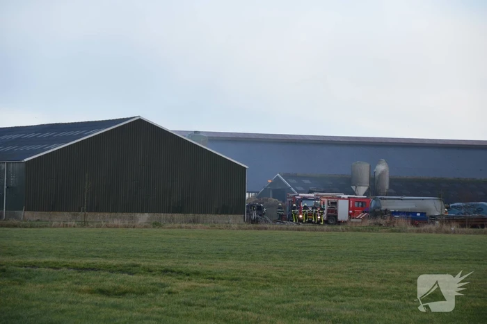 Grote brand in loods met stro-opslag