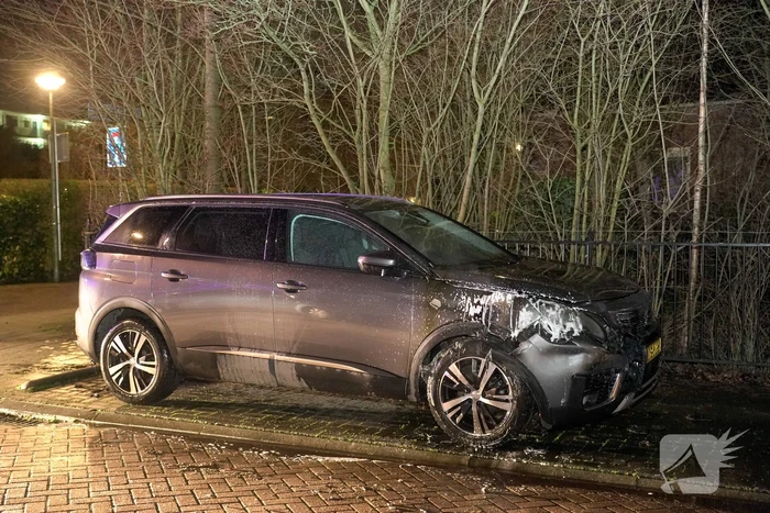 Geparkeerde auto vat vlam