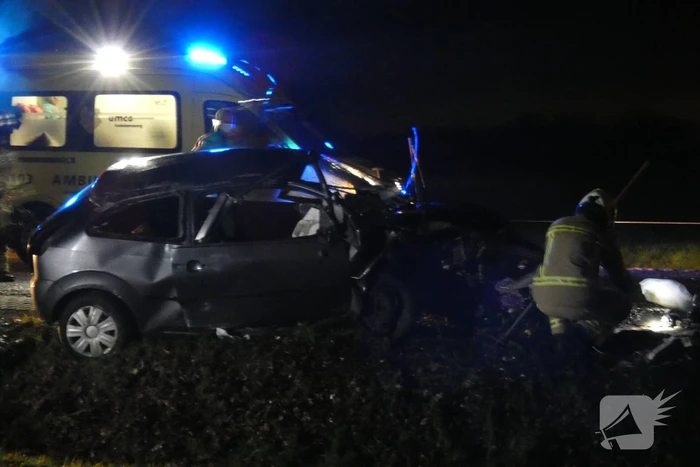 Auto klapt hard tegen boom