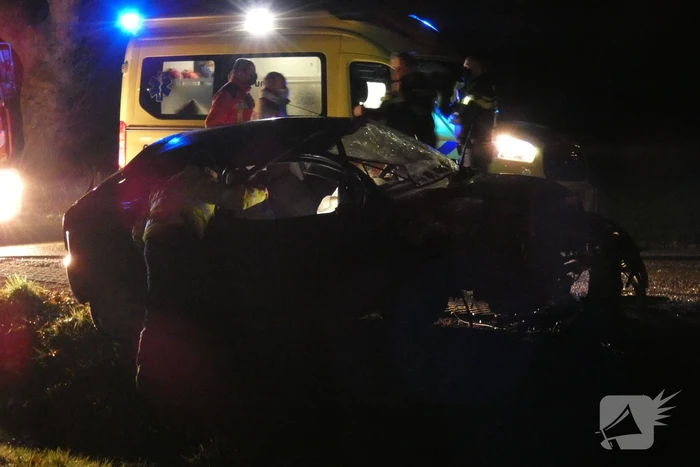 Auto klapt hard tegen boom