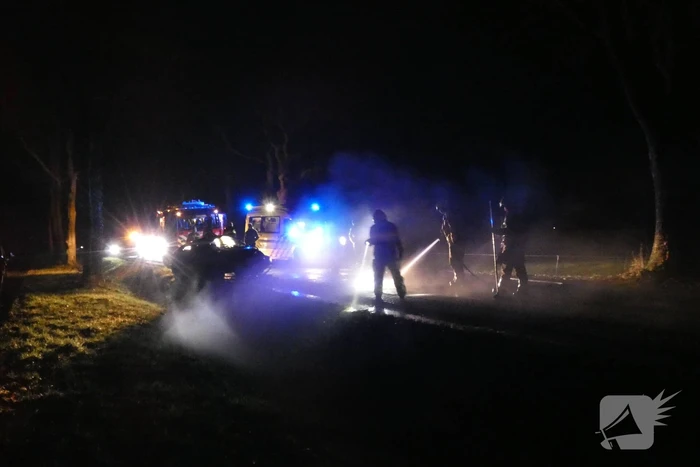 Auto klapt hard tegen boom