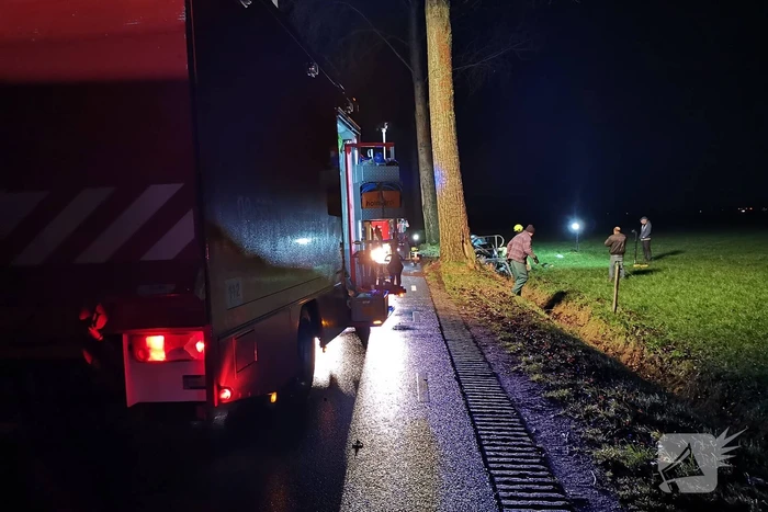 Auto raakt van de weg eindigt tegen boom