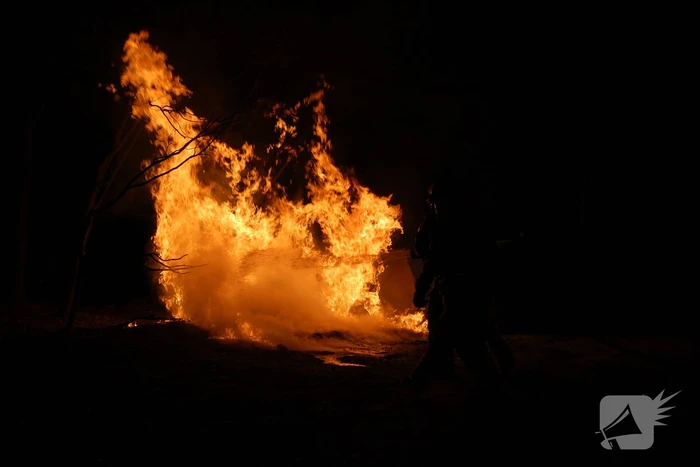 Meerdere dixies door brand verwoest