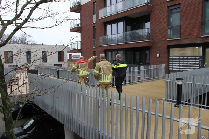 nieuws demeter weert