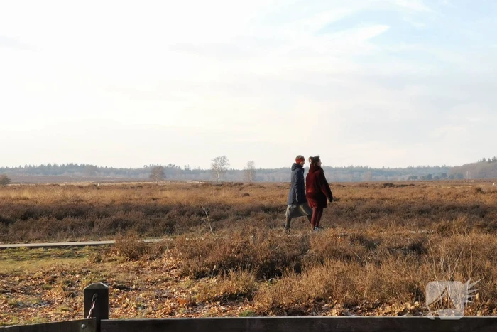 Parkeerplaatsen natuurgebieden vol