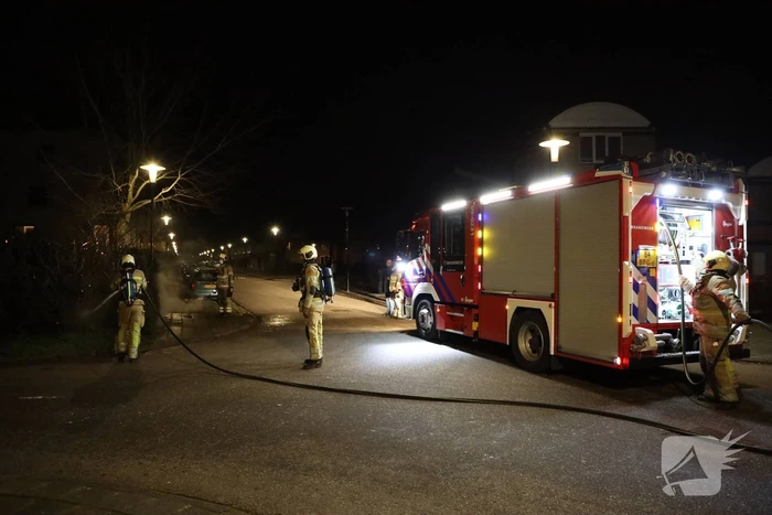 Struiken vliegen in brand