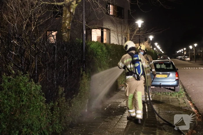 Struiken vliegen in brand