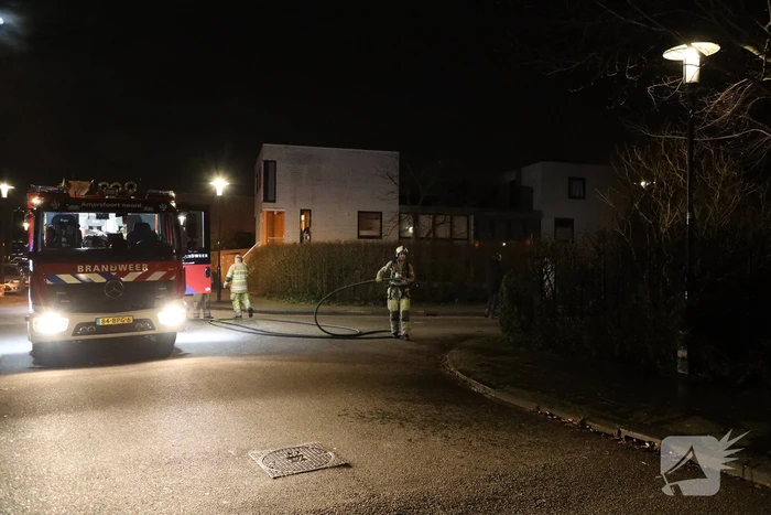 Struiken vliegen in brand