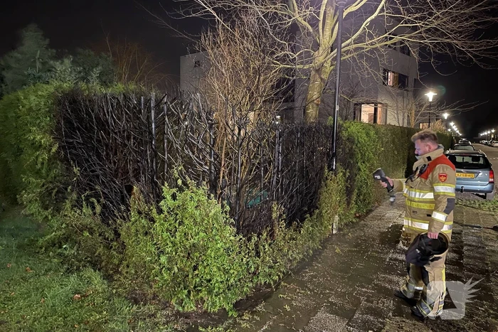 Struiken vliegen in brand