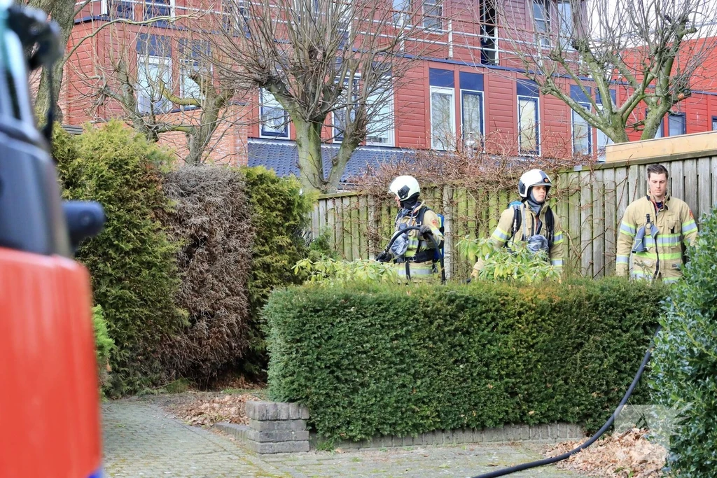 Hoogland