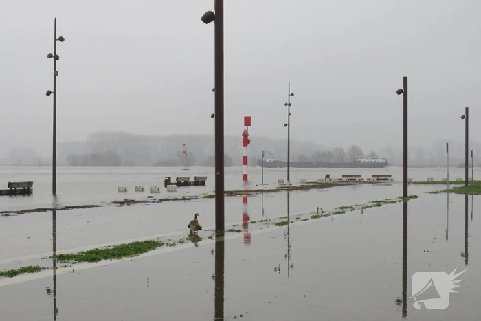 nieuws veerweg tiel