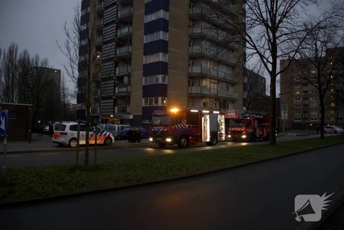 Brand in flatwoning