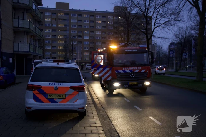 Brand in flatwoning