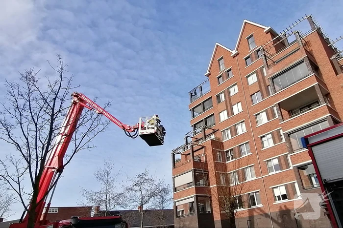 Brandweer bevrijdt vogel uit benarde positie