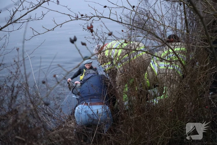 Brandweer redt hond te water