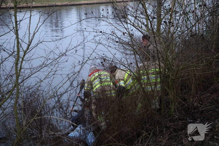 Brandweer redt hond te water