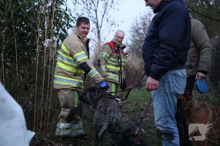 Brandweer redt hond te water