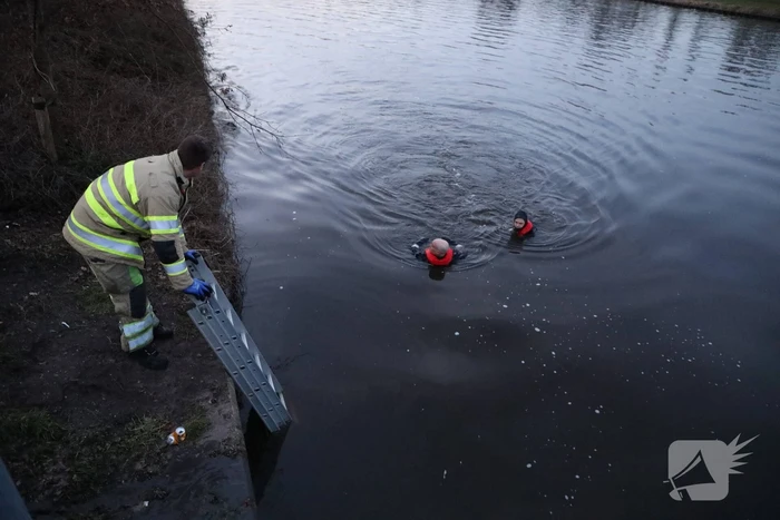Brandweer redt hond te water